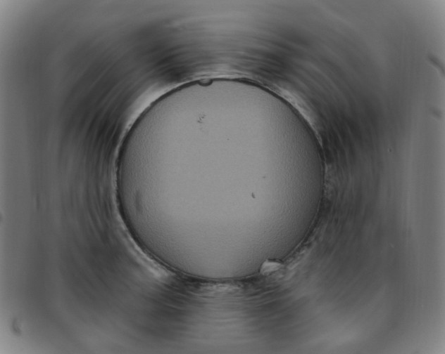 X0000097471187200803071647