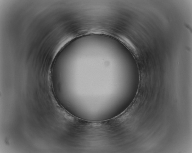 X0000097471190200803071647