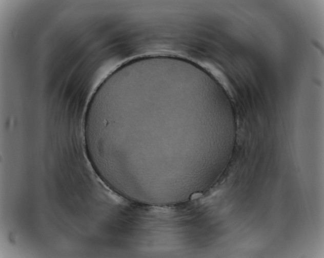 X0000097471191200803071647