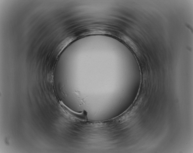 X0000097471193200803071647