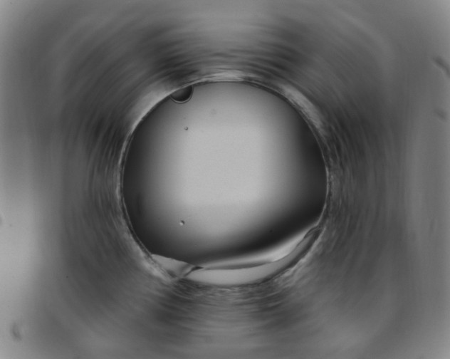 X0000097471194200803071647