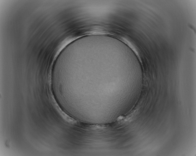 X0000097471195200803071647