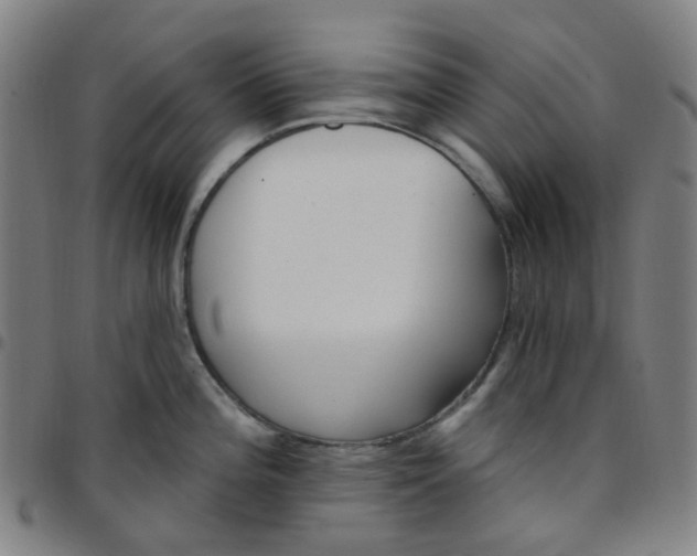 X0000097471196200803071647