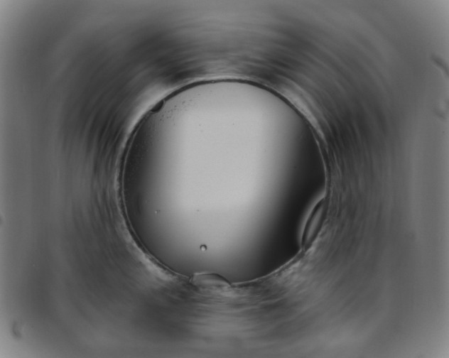 X0000097471197200803071647
