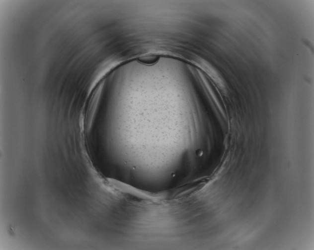 X0000097471198200803071646