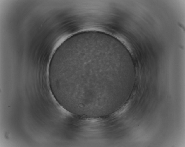 X0000097471199200803071646