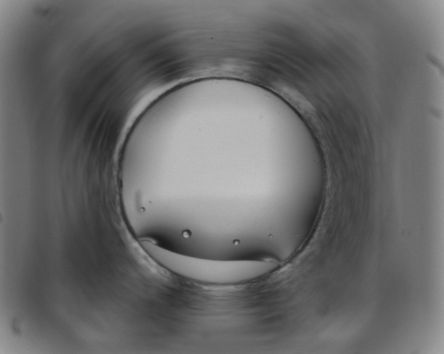 X0000097471200200803071646