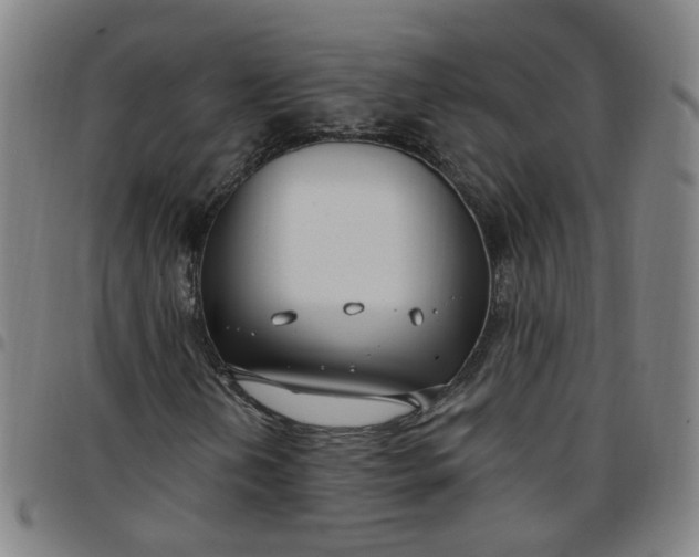X0000097471202200803071646