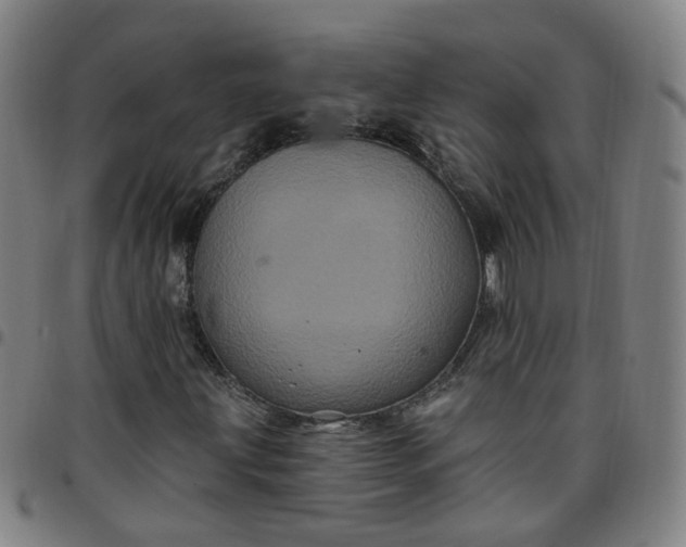 X0000097471203200803071646