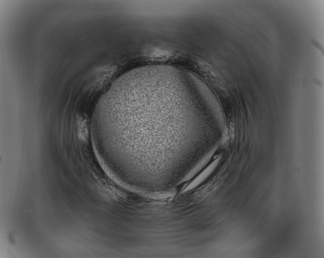 X0000097471204200803071646