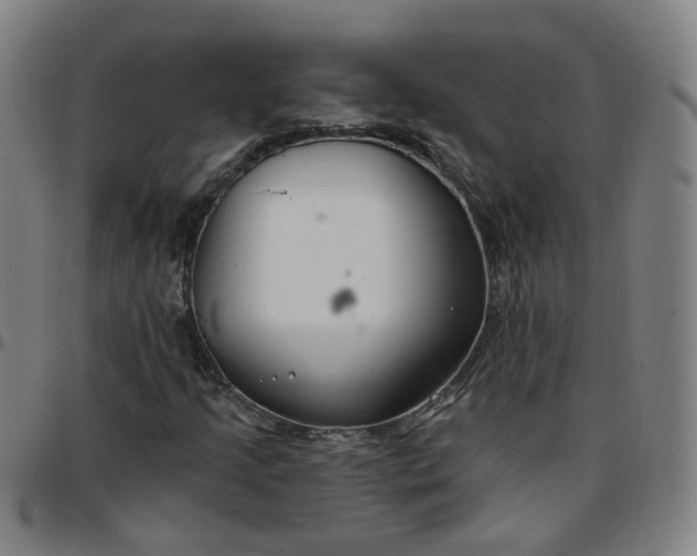 X0000097471205200803071646