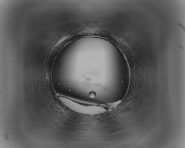X0000097471206200803071646