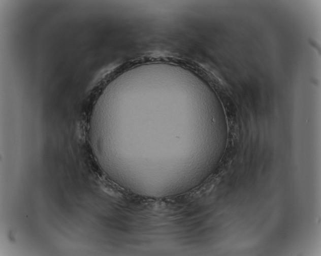 X0000097471207200803071646