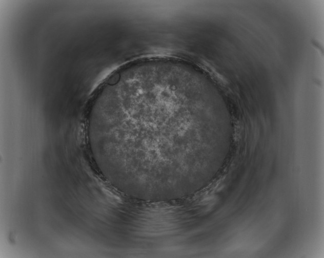 X0000097471208200803071646