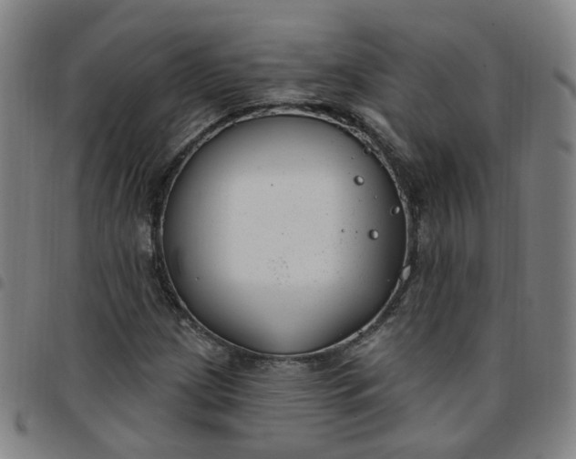 X0000097471209200803071646