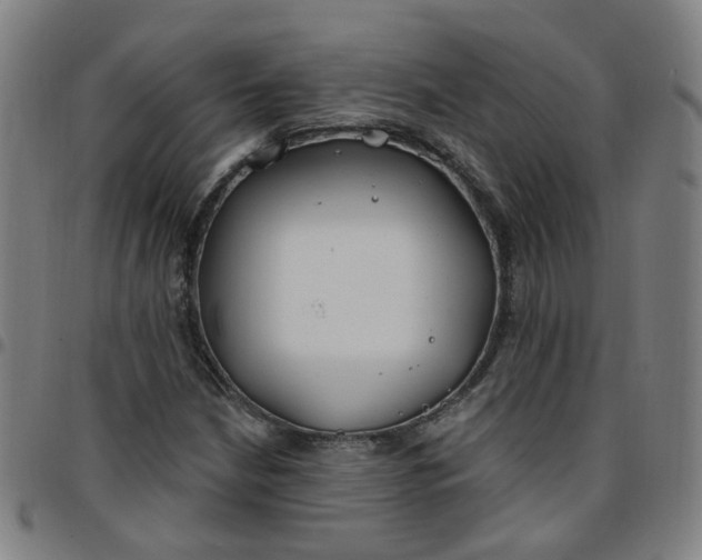X0000097471210200803071646