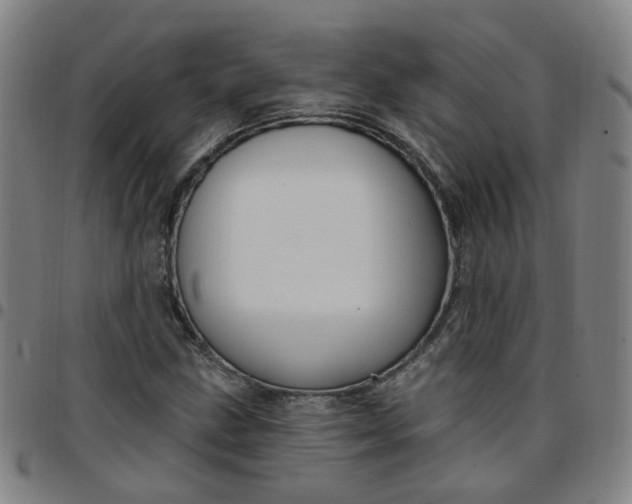 X0000097471211200803071646