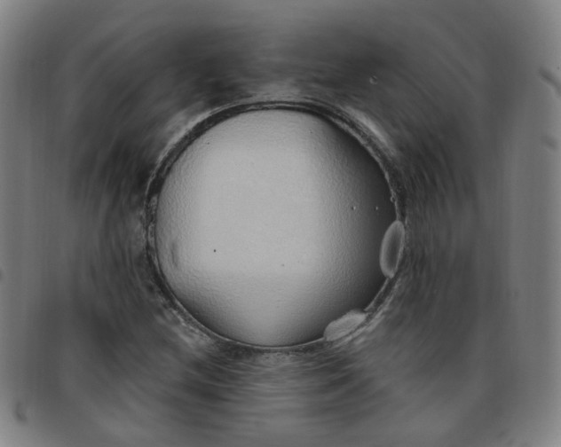 X0000097471212200803071646