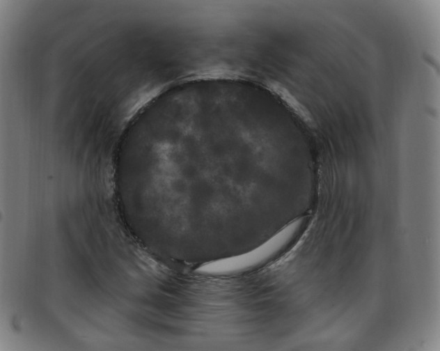 X0000097471213200803071646