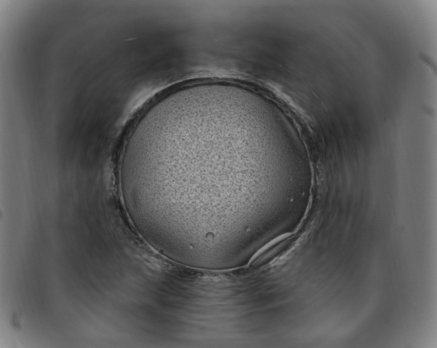 X0000097471215200803071646