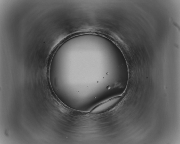 X0000097471216200803071646