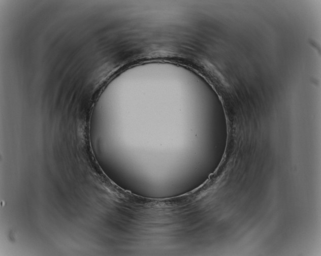 X0000097471217200803071646