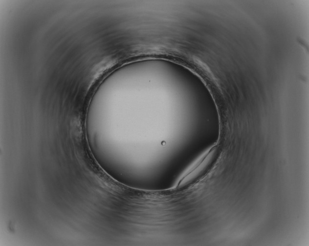 X0000097471218200803071646