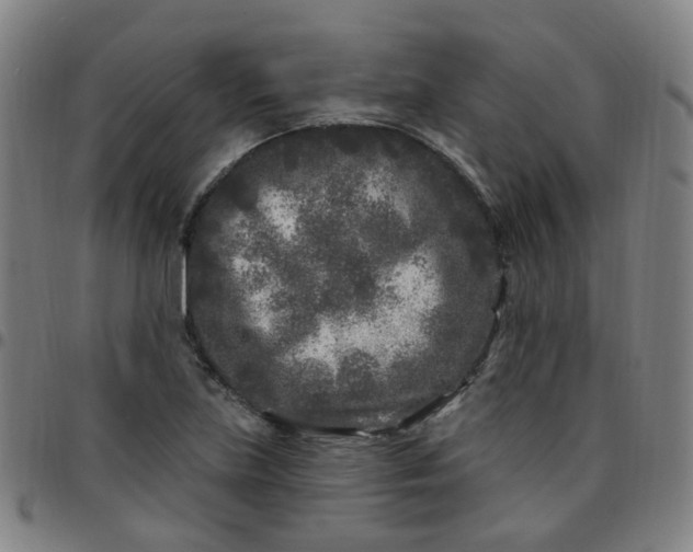 X0000097471219200803071646