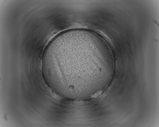 X0000097471220200803071646