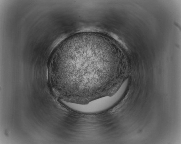 X0000097471221200803071646