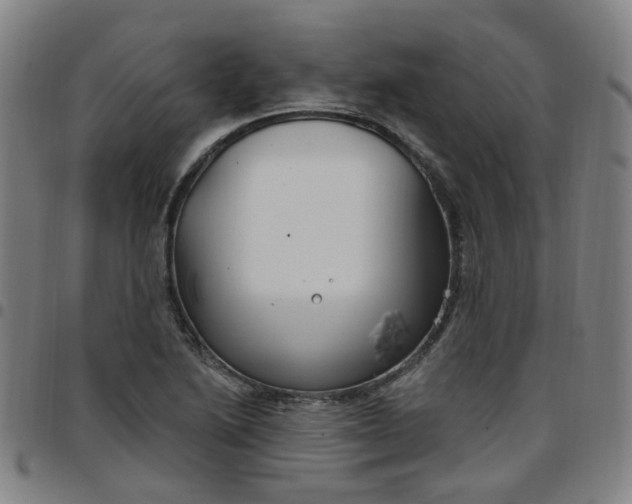 X0000097471222200803071646