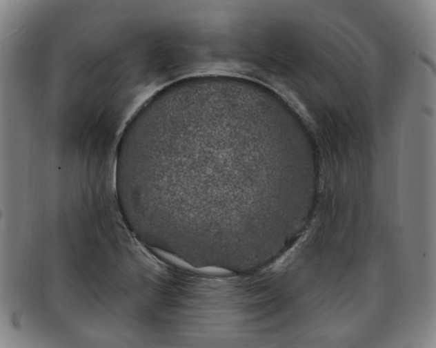 X0000097471224200803071646