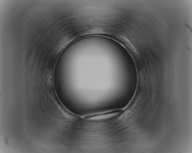 X0000097471225200803071646
