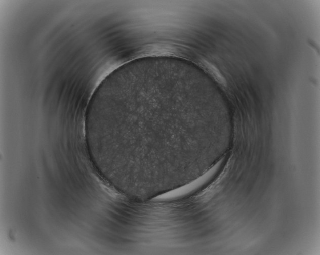 X0000097471226200803071646