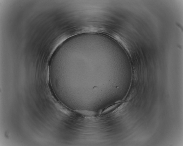X0000097471227200803071646