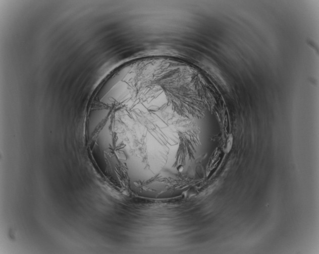 X0000097471228200803071646