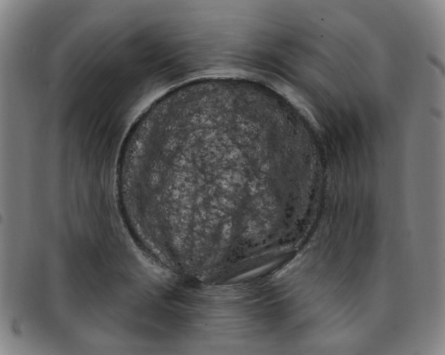 X0000097471229200803071646