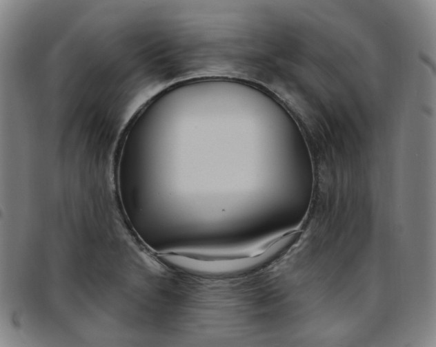X0000097471230200803071646