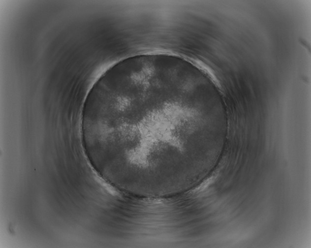 X0000097471231200803071646