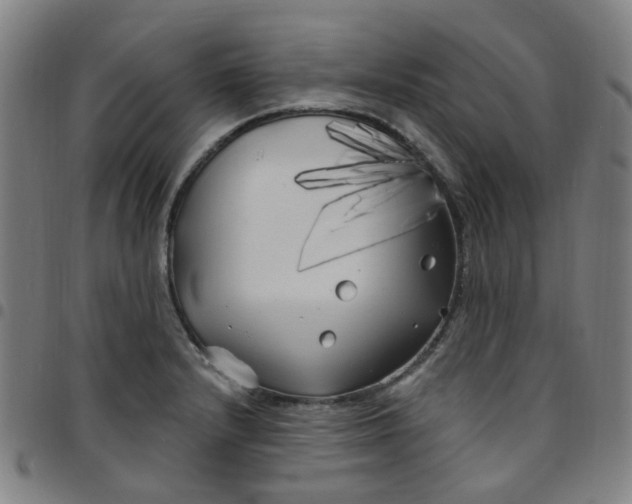 X0000097471232200803071646