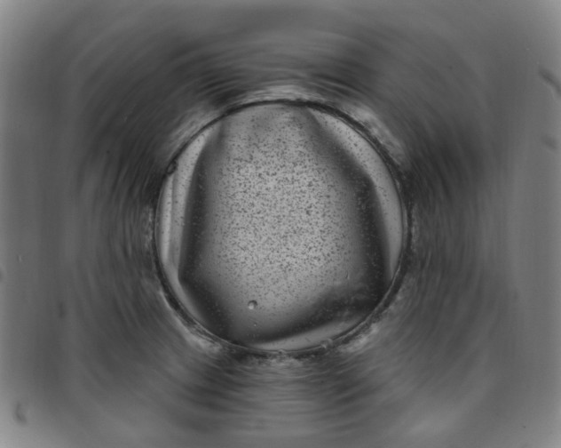 X0000097471233200803071646