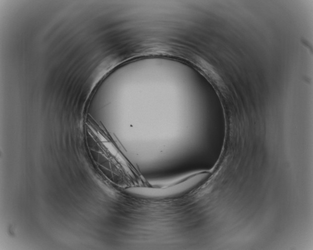 X0000097471234200803071646