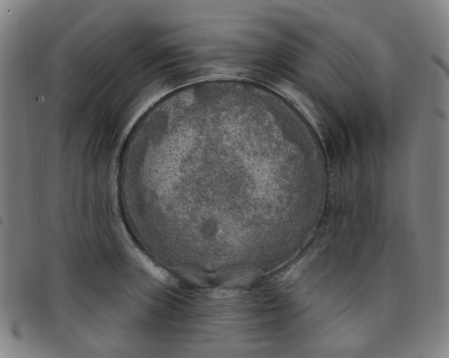 X0000097471235200803071646