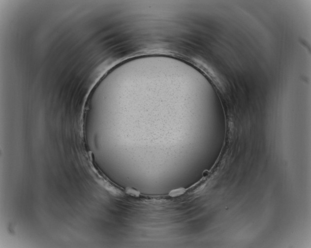 X0000097471236200803071646