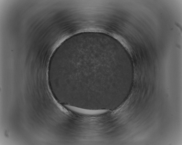 X0000097471237200803071646