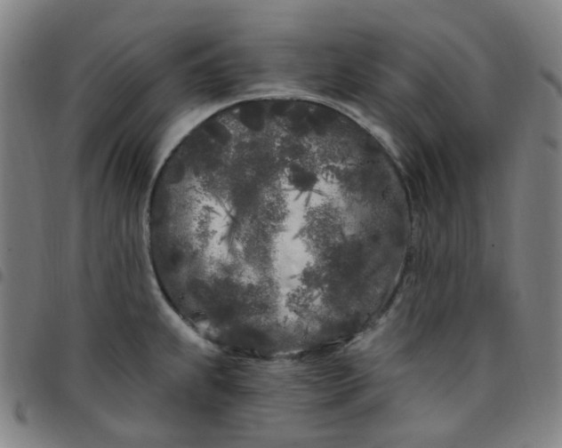 X0000097471239200803071646