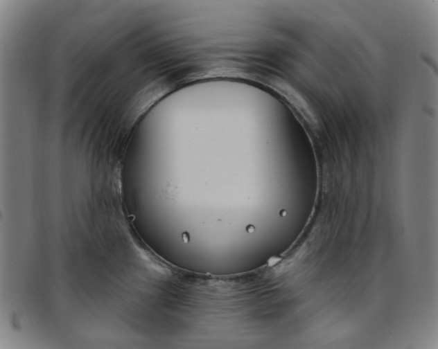 X0000097471241200803071646