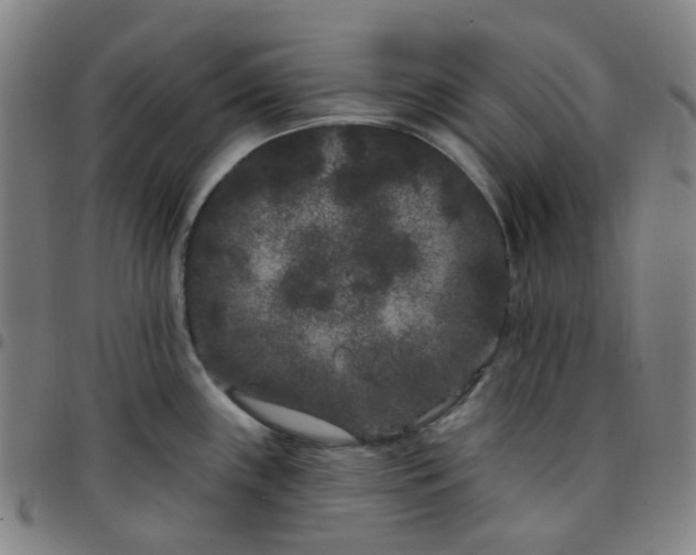 X0000097471243200803071646