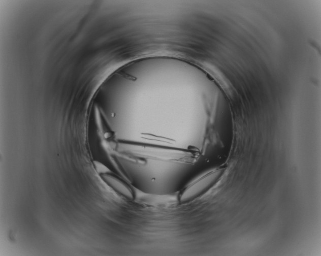 X0000097471244200803071646