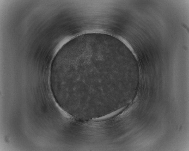 X0000097471245200803071646
